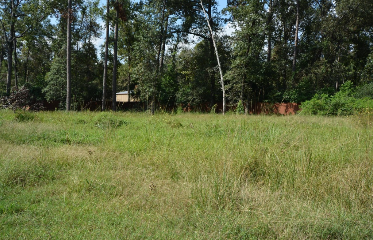 2 SUBDIVIDED LOTS IN MAGNOLIA COUNTY - 80,150 SQFT COMBINED!