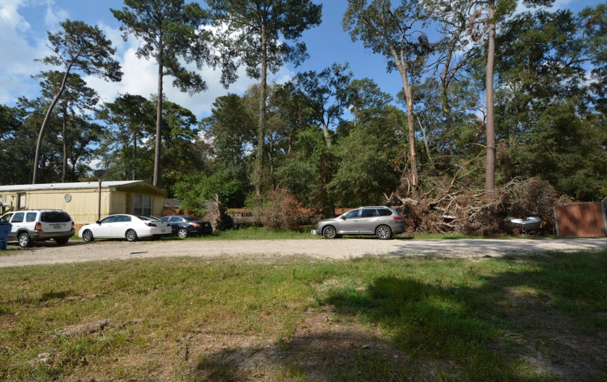 2 SUBDIVIDED LOTS IN MAGNOLIA COUNTY - 80,150 SQFT COMBINED!