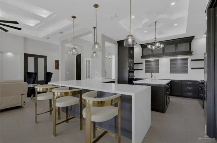 🏡 Luxury Modern Estate on 1 Acre in Edinburg